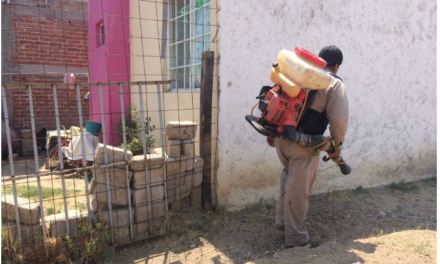 Aumentan a 46 casos de dengue en Silao; refuerzan operativo contra el mosco