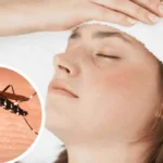 Alertan por casos de dengue en Silao y Romita