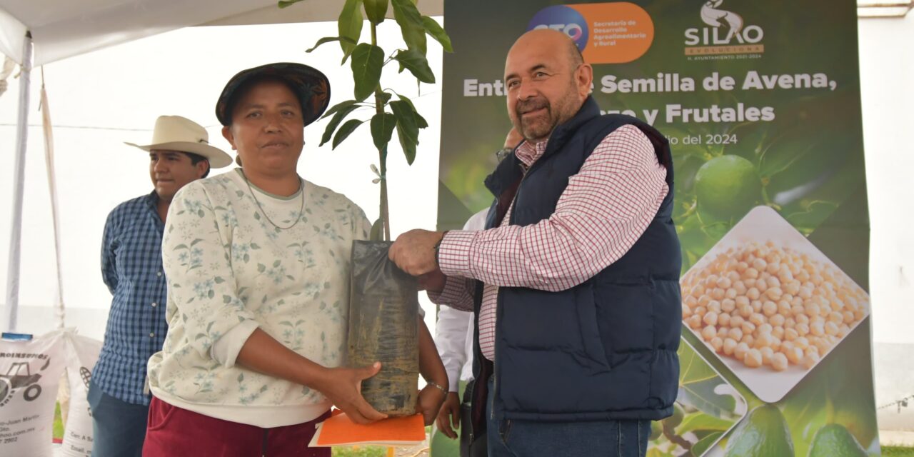 Dan semillas y árboles de limas a agricultores
