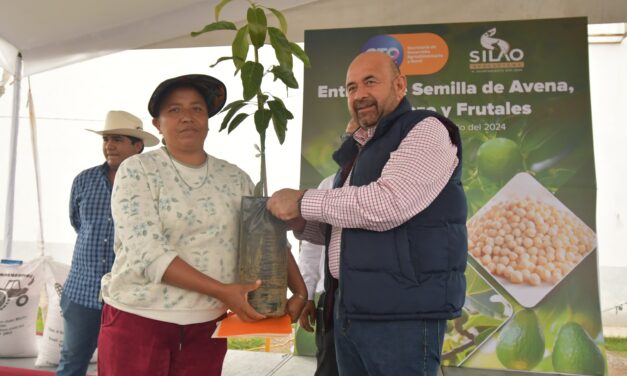 Dan semillas y árboles de limas a agricultores