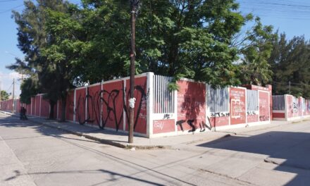 Piden ayuda para erradicar el dengue en Telesecundaria; aumentan alumnos enfermos