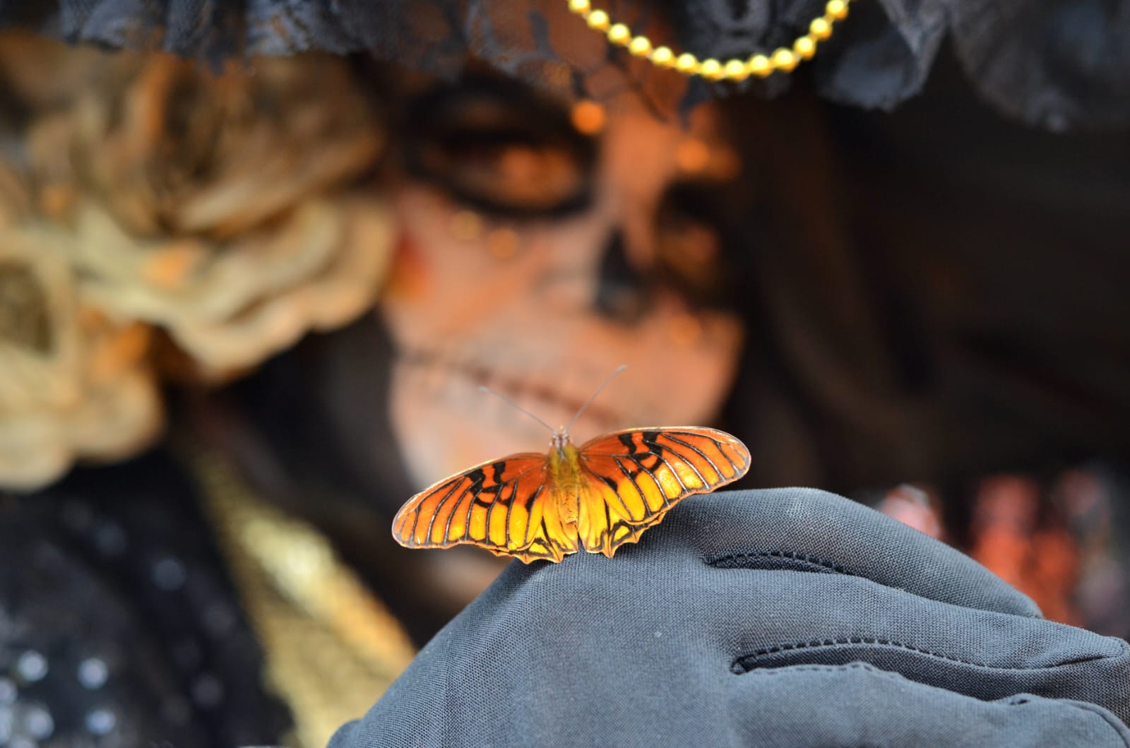 muertos silao (1)