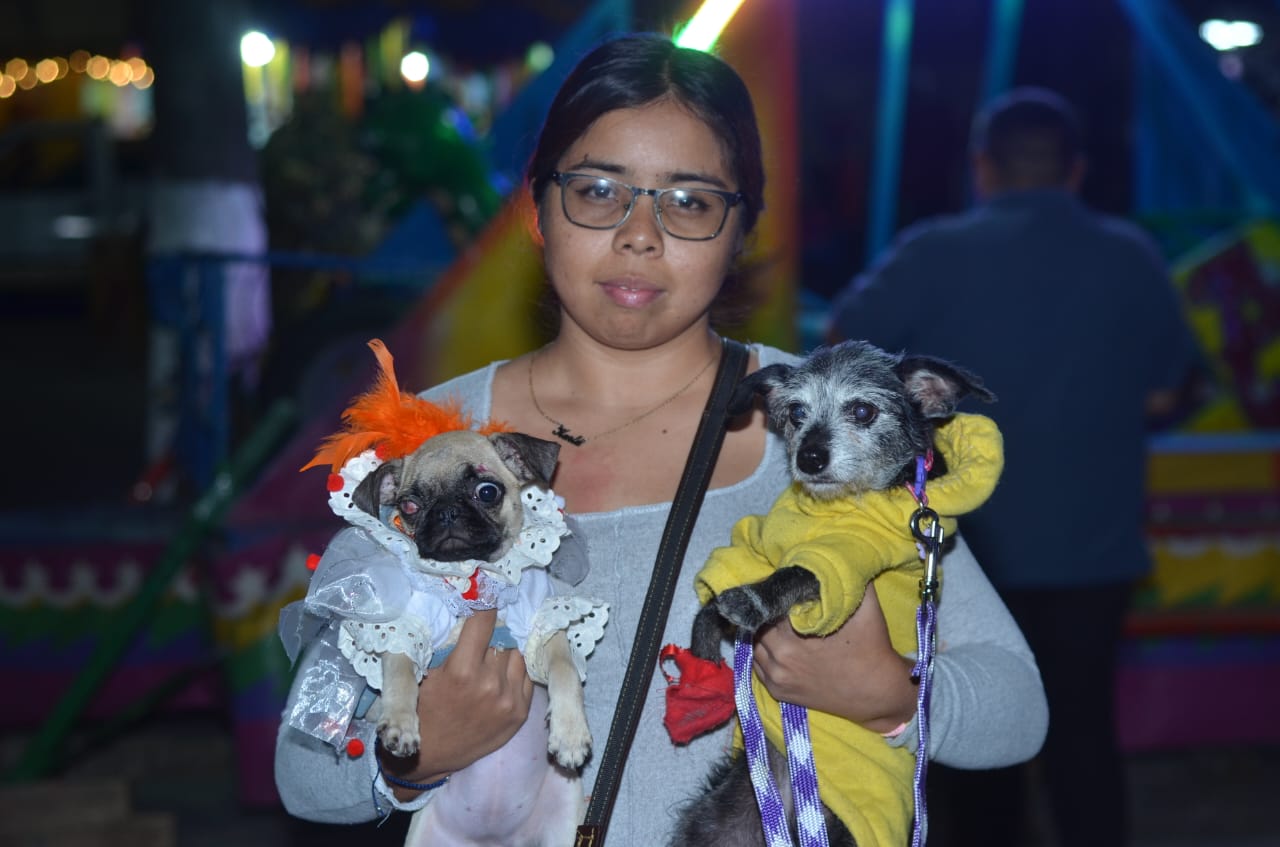 concurso de perritos día d emuertos (2)