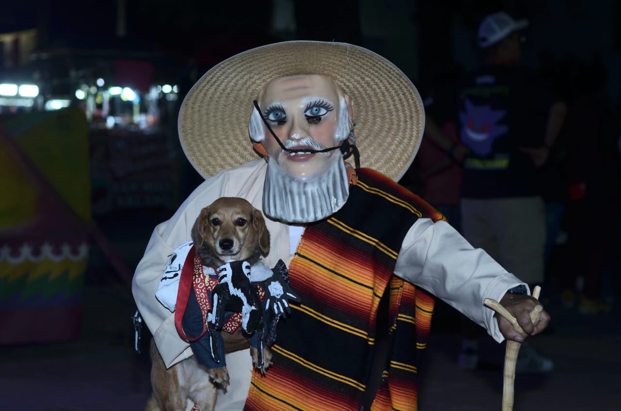 concurso de perritos día d emuertos (8)
