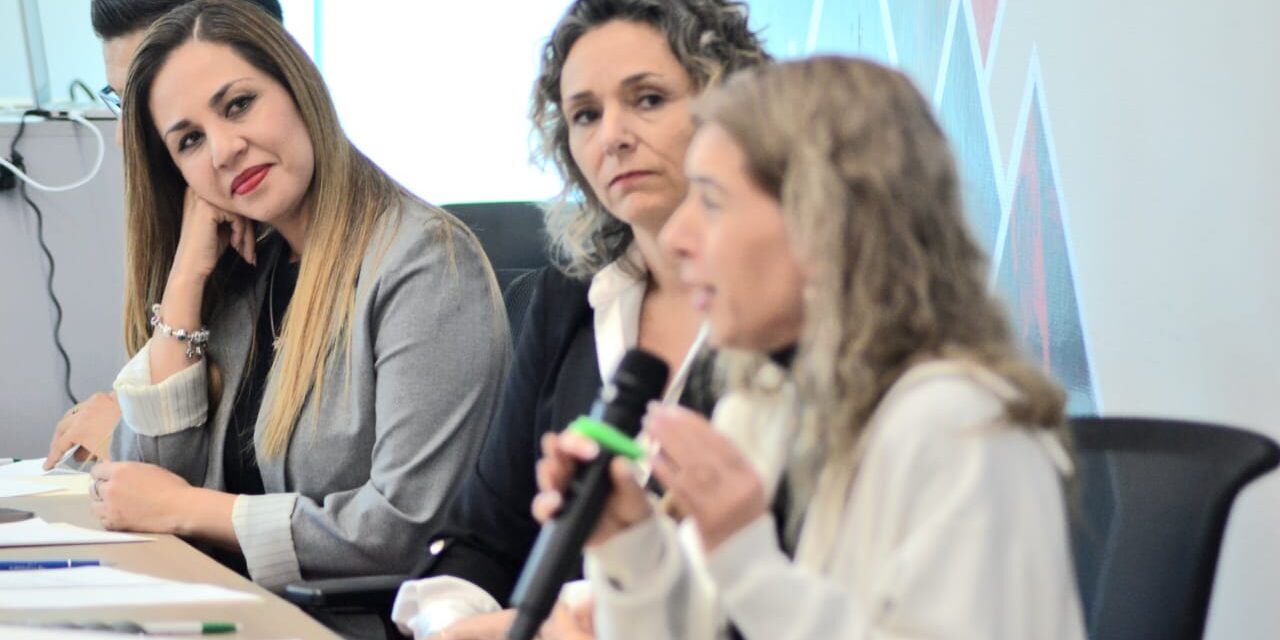 Motiva Melanie a jóvenes a tomar el liderazgo, se reúne con organizaciones europeas que apoyan en Guanajuato