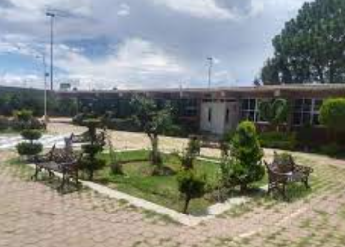 prepa silao 4