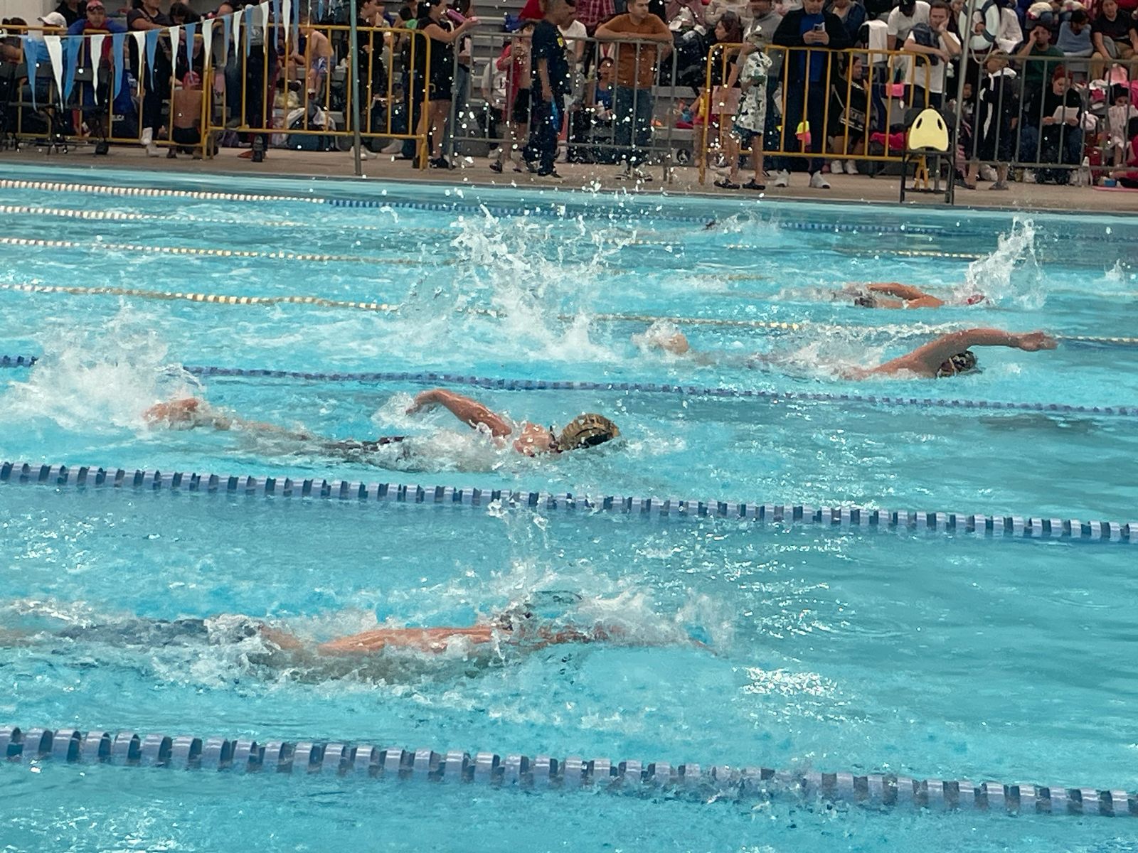 natación (2)