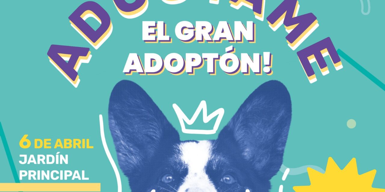 Invitan al Adoptón dominical en el jardín principal de Silao