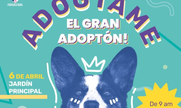 Invitan al Adoptón dominical en el jardín principal de Silao