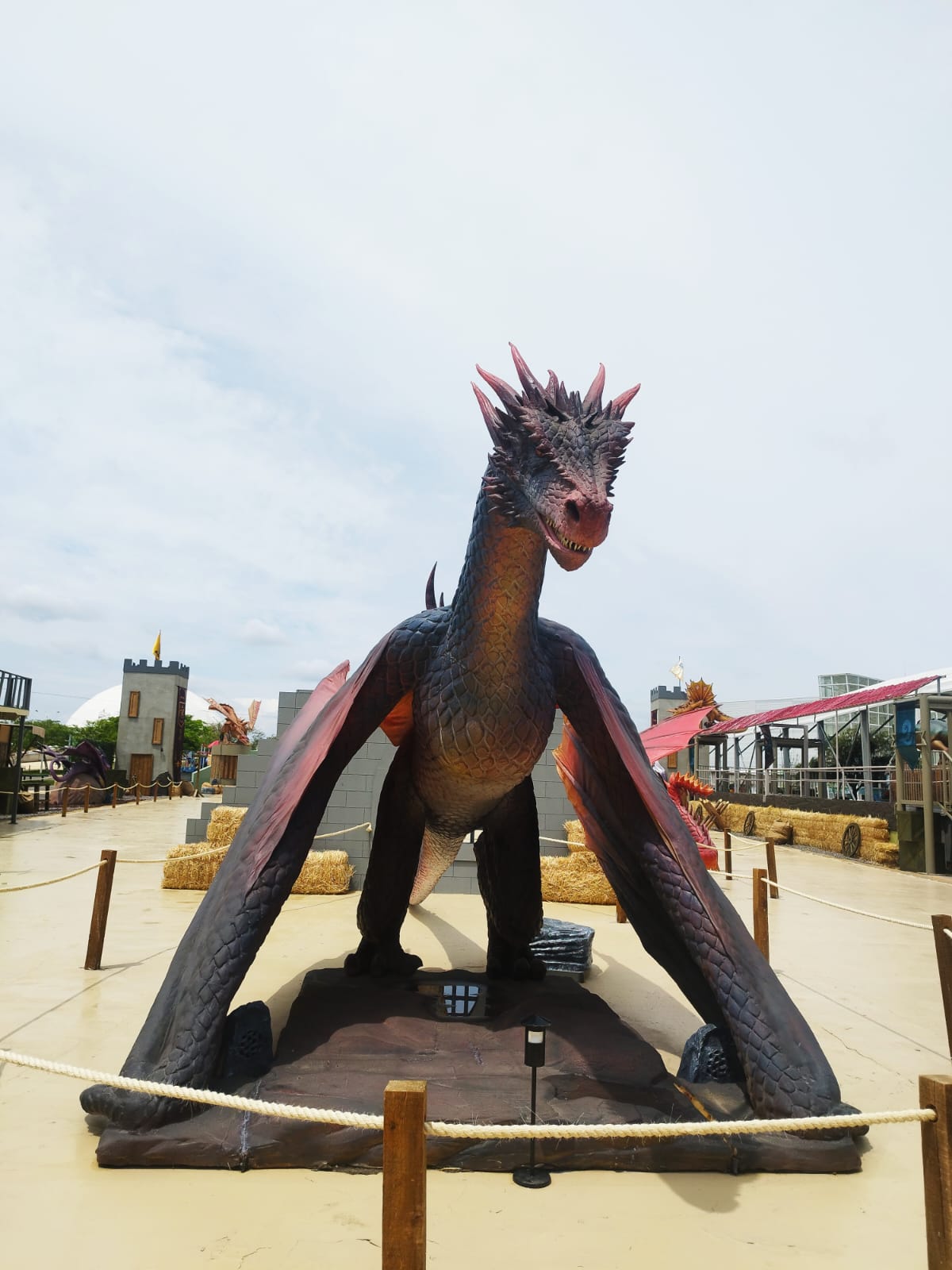 dragones (2)
