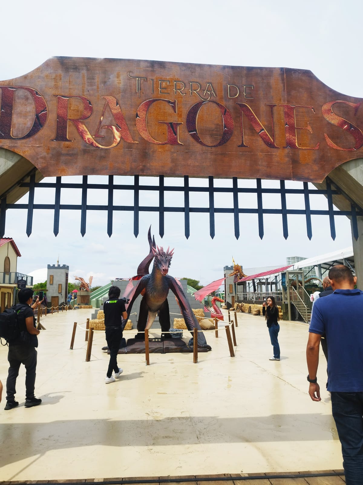 dragones (3)