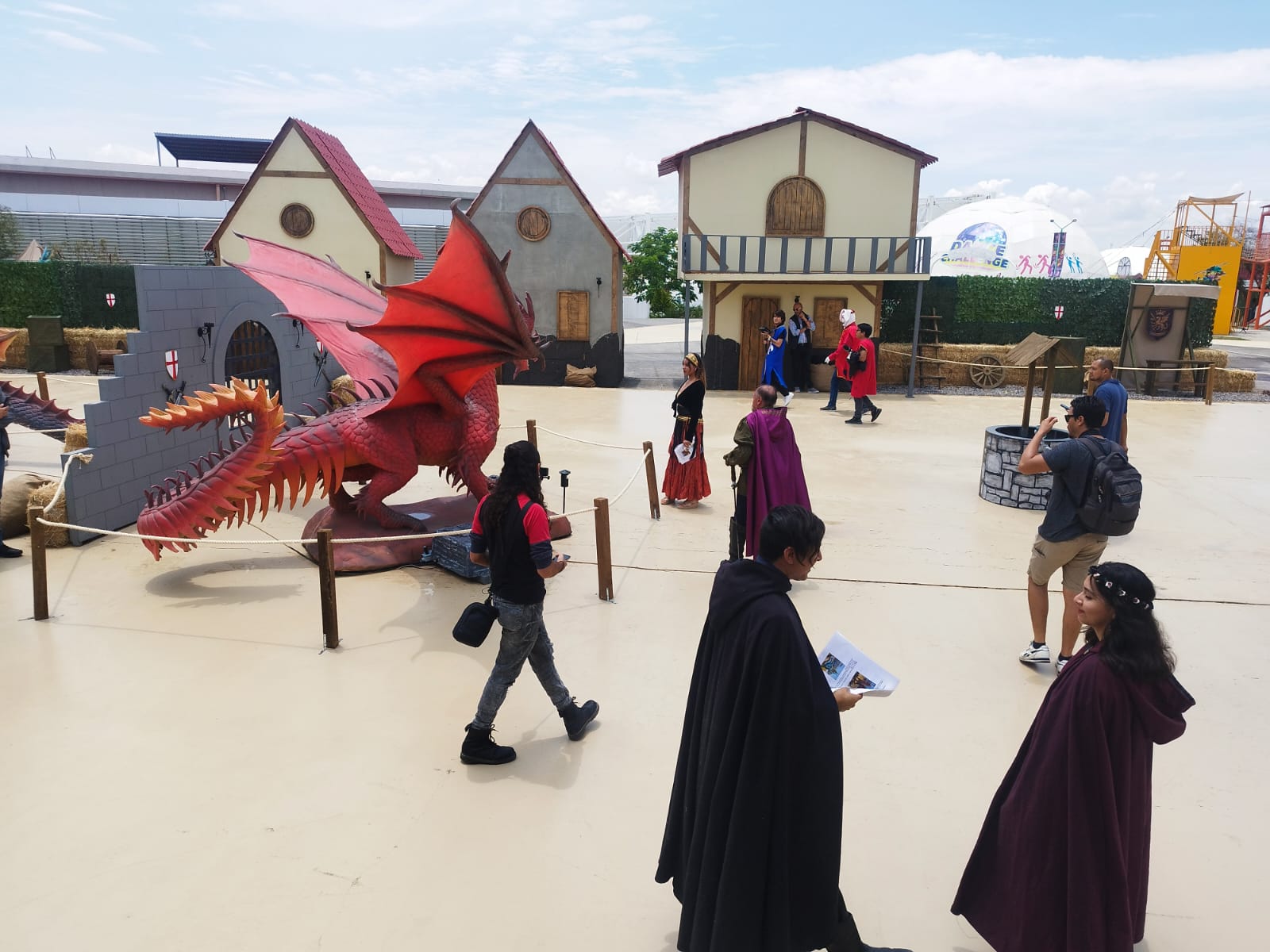 dragones (4)
