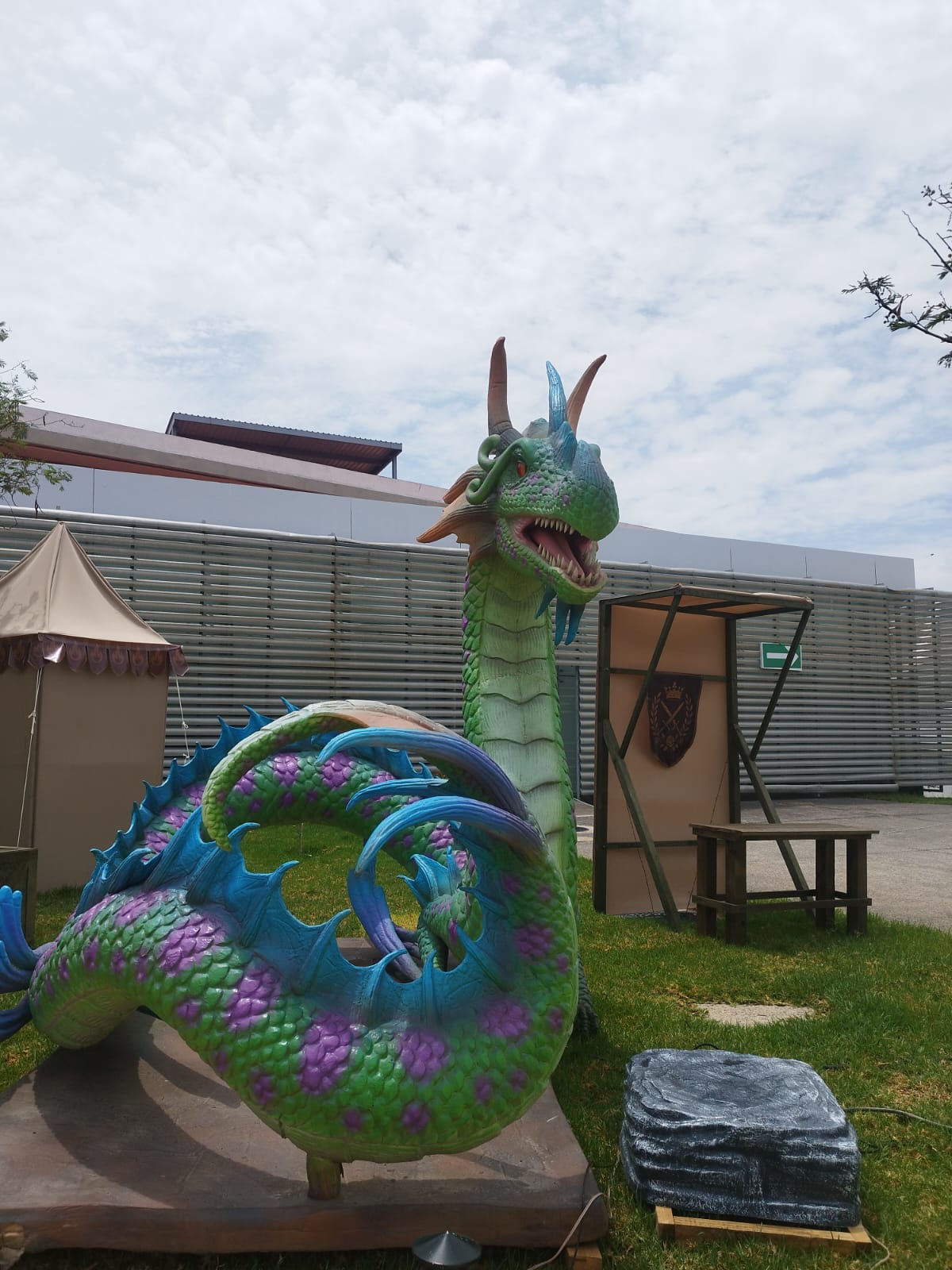 dragones (6)