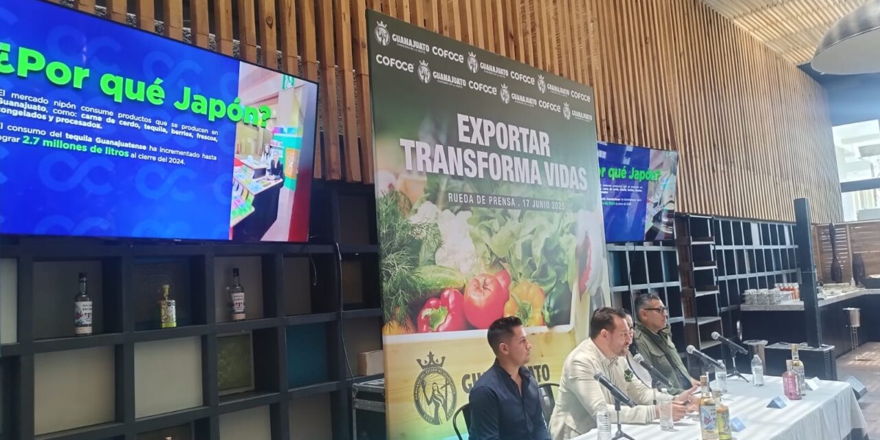 Guanajuato incrementa exportaciones en 2024: Silao lidera con más del 44% del total estatal