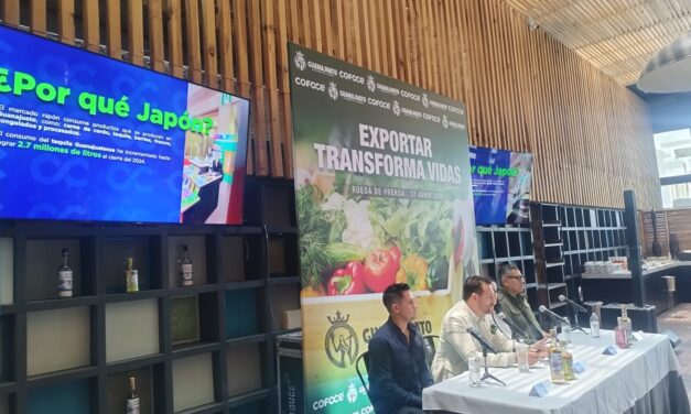 Guanajuato incrementa exportaciones en 2024: Silao lidera con más del 44% del total estatal