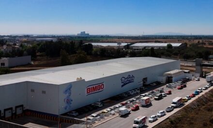 PANAN I y PANA II: Clústers en el Corazón Industrial de Silao